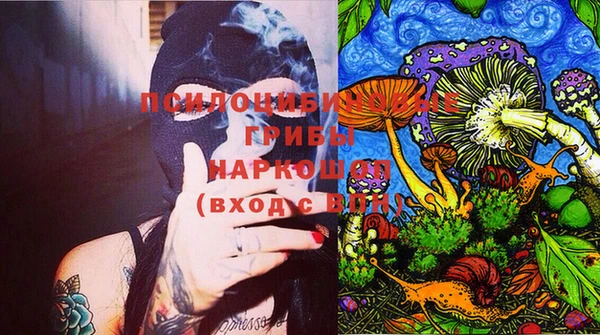 PSILOCYBIN Аркадак
