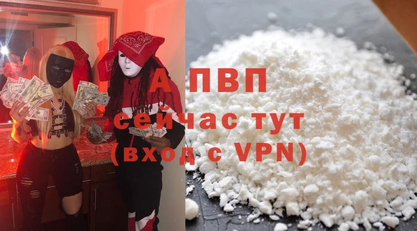 PSILOCYBIN Аркадак