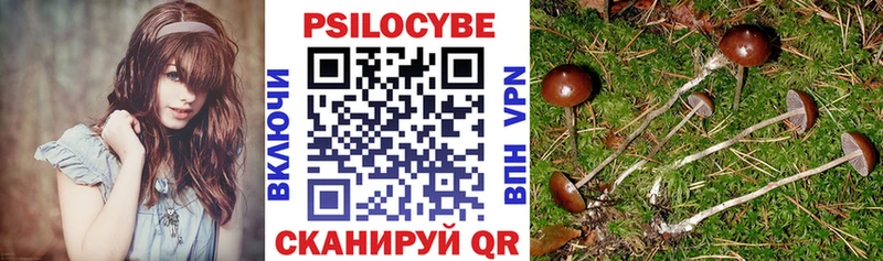 Галлюциногенные грибы Cubensis  Петровск-Забайкальский 